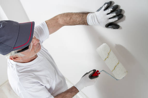 Best Environmental Consulting for Mold Prevention  in Ashland, KY