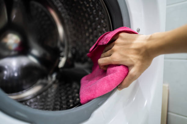 Best Mold Damage Restoration  in Ashland, KY