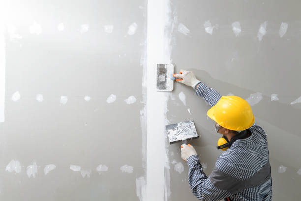 Best Basement Mold Removal  in Ashland, KY