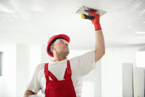 Best Residential Mold Inspection & Testing  in Ashland, KY