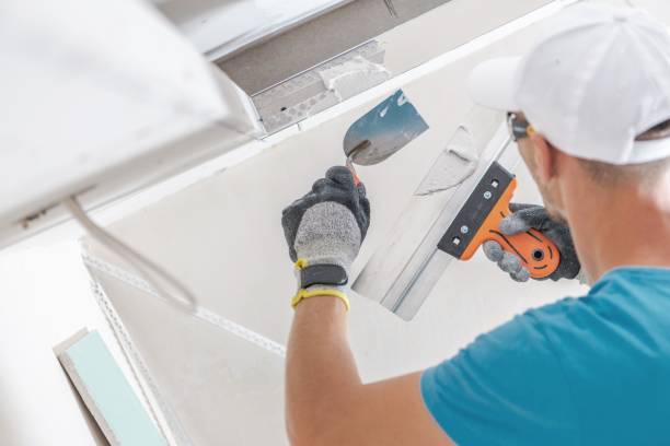 Best Biohazard Mold Removal  in Ashland, KY